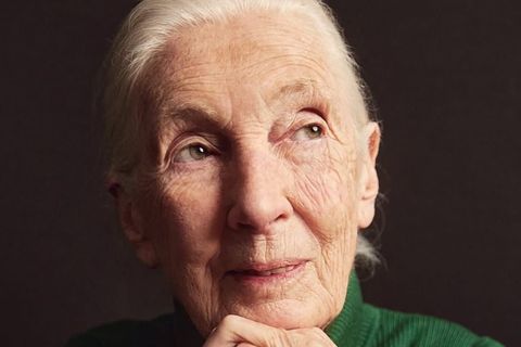 Jane Goodall a murit la 91 de ani! Cercetătoarea a dedicat o viață cimpanzeilor și naturii